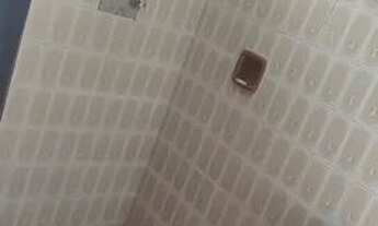 Imagem: Aluga-se quarto com banheiro para mulher