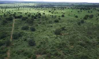 Imagem 7: Fazenda para Venda em Centro Inocência-MS - 3135