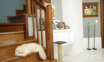 Imagem 7: Apartamento em Petrópolis