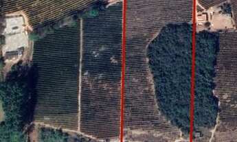 Imagem: Vendo Sítio produtor de café!