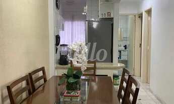 Imagem: São Paulo - Apartamento Padrão - São