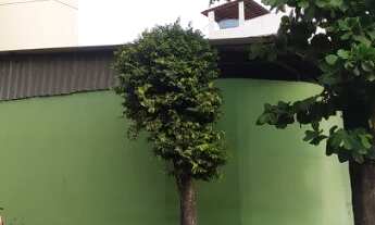 Imagem 2: Galpão na 25 de Agosto