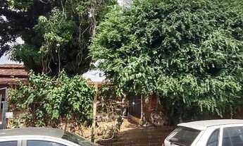 Imagem 5: Arniqueiras: Lote 289 m2, planinho/semi murado, colado P.Way ( QUIT.TERRACAP) Quem vê com