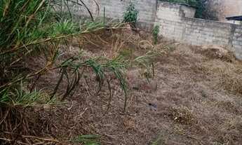 Imagem 5: Casa com 2 quartos + 2 lojas para venda no Jardim Emaus Grama