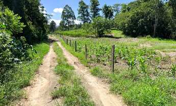 Imagem: Vendo Sítio com vista panorâmica de frente