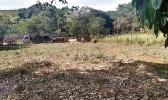 Imagem 5: Lote de 1022mts em igarapé barato !!!