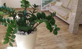 Imagem 3: Casa 5 quartos - 3 suites - 900m da praia