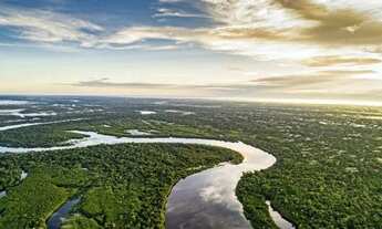 Imagem 2: Fazenda - Centro - Manaus
