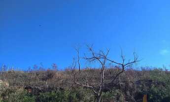 Imagem 2: Lote bairro Santa Matilde Conselheiro Lafaiete MG