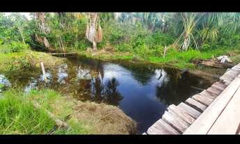 Imagem 4: Fazenda na br174 km185,zona rural de Presidente Figueiredo