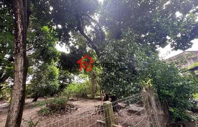 Imagem 4: TERRENO RESIDENCIAL em SÃO LUÍS - MA, COHAMA