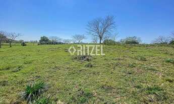 Imagem 5: Fazendinha 5 hectares em Sapiranga - Ent r$ 230 mil - Saldo Direto 24 X