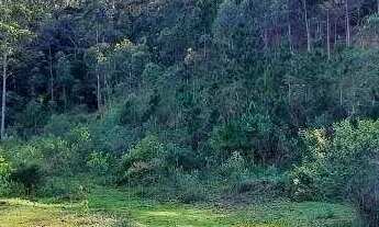 Imagem 3: Oportunidade de Terreno à venda, 9090 m² por R$ 1.700.000 - Canasvieiras - Florianópolis/S