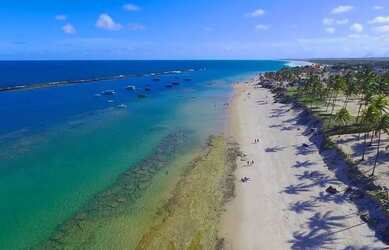 Imagem: MI - Terreno Beira-mar Praia do Francês