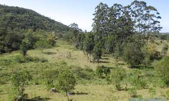 Imagem 3: SÍTIO - SÃO JOÃO DO RIO VERMELHO - SC