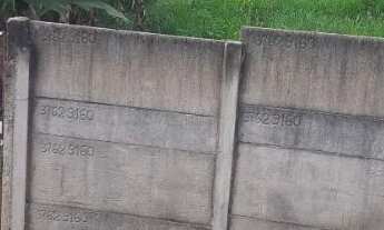 Imagem: Lote Real de Queluz