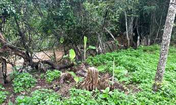 Imagem 5: Vendo uma chácara de 4 alqueire na beira do rio caldas em bonfinopolis