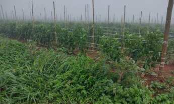 Imagem 5: E 10 hequetario a venda na rua 24 lago oeste