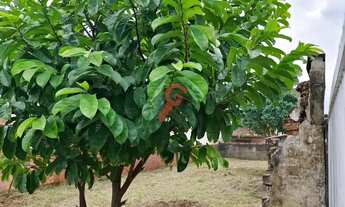 Imagem 3: Terreno com 300m² para locação no bairro São José em Canoas