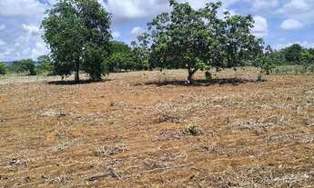 Imagem 5: Vendo ou troco chácara