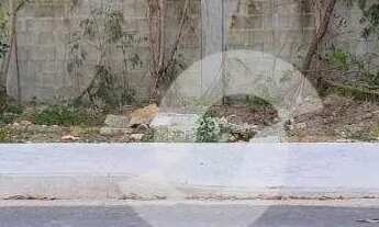 Imagem: Terreno à venda, 427 m² por R$ 500.000,00