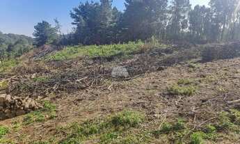 Imagem 4: Vendas Terreno Tijucas Do Sul PR