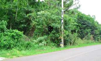 Imagem 2: Terreno à venda no Bairro Travessão em Dois Irmãos RS REF: 738