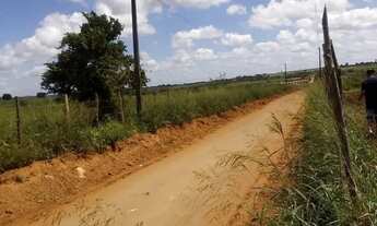 Imagem: Vendo chácara com 77 tarefas em Arapiraca