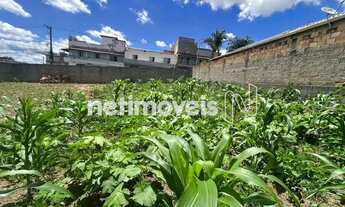Imagem 6: Venda Lote-Área-Terreno Vila Cristina Betim