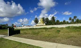 Imagem 3: Ilha Bela, terreno/lote nascente, 310m², plano