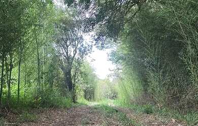 Imagem 7: Invista em Ibiuna: Região em Expansão com Garantia de Retorno! Perto da Rota do Vinho!