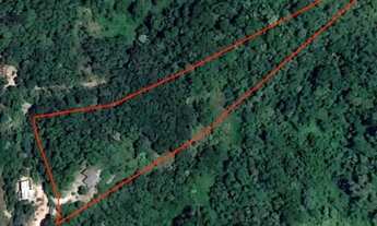 Imagem: Terreno 11mil qm com casinha pomar e floresta