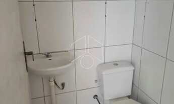 Imagem 6: Comercial GalpãoBarracão em Marília