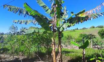 Imagem 5: Mini Chácara Chácara com venda por R$45.000