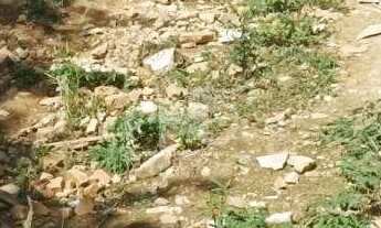 Imagem 3: Terreno à Locação com 176 m² - Baeta neves - São Bernardo do Campo