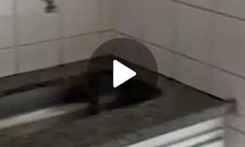 Imagem 5: Alugo quarto no Colégio Batista, 600m da Oiapoque