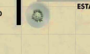 Imagem 3: Apartamento - 02 Quartos - SHN 3 - Taguatinga Norte