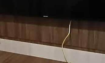 Imagem 7: Cond. Reserva Inglesa 2qtos 100% Mobiliado