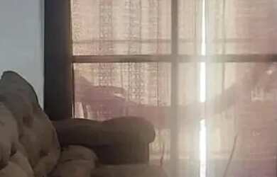 Imagem 6: Imóvel para aluguel possui 85 metros quadrados com 3 quartos em Centro - São José dos Camp