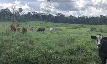 Imagem 7: Lote na vicinal 9 abaixo do preço de mercado
