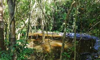 Imagem 4: Super oportunidade terreno com lago