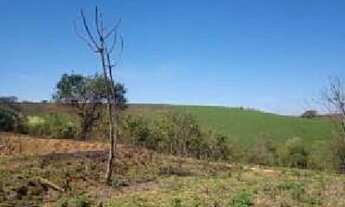 Imagem 5: Lote/Terreno para venda com 1000 metros quadrados em Nova Santa Isabel - Santa Isabel - SP