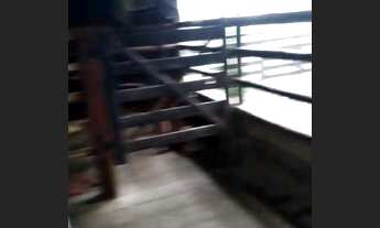 Imagem 4: Fazendinha!!!2 Poços Artesiano/Curral/Área Total 76 Hectares!!!