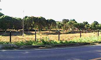 Imagem: Chácara de Frente p/ BR 259 - 5.626 ms2