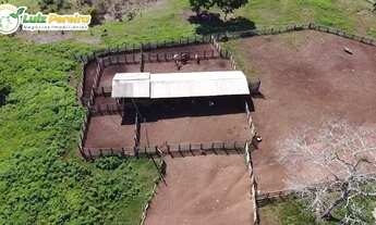 Imagem 2: FAZENDA À VENDA EM SANTA RITA - TO - 2.420 HECTARES (DUPLA APTIDÃO