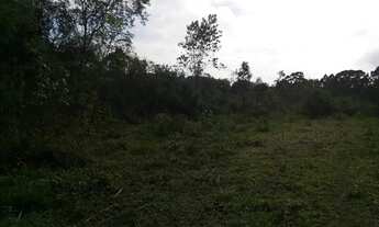 Imagem 7: Terreno tem 15000 metros quadrados - Área Comercial -Perto do trevo - Rio Negrinho - SC