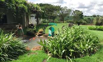 Imagem 2: Fazenda em Jataí