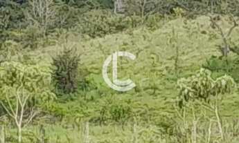 Imagem 6: CHÁCARA A VENDA