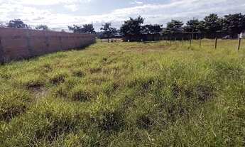 Imagem 3: Lote de 1000m² plano, murado e cercado à venda, Bandeirantes (Pampulha) - Belo Horizonte/M