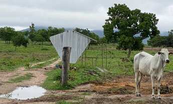 Imagem 7: Fazenda nova de 170 hectares, sendo 120ha de pasto - 70 km de Cuiabá, sentido Rondonópolis